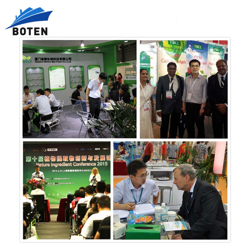 Pine Pollen Powder Manufacturer - Bulk 99% Cell Wall Broken Powder