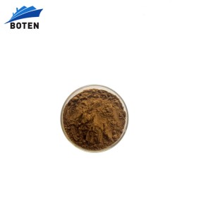 Chasteberry Extract Powder Factory - Wholesale Bulk Price Powder