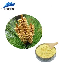Pine Pollen Powder Manufacturer - Organic Raw High Quality Powder