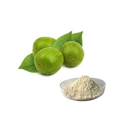 Monk Fruit Extract Supplier - Wholesale 100% Natural Mogroside V Sweetener