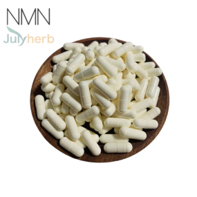NMN Dietary Supplement Manufacturer - NAD Booster Bulk Stock Customized Halal Certified