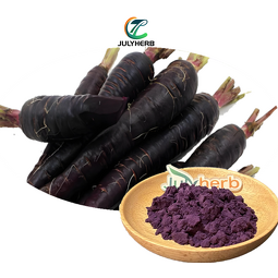 Black Carrot Extract Powder Manufacturer - Hot Selling Water Soluble High Quality