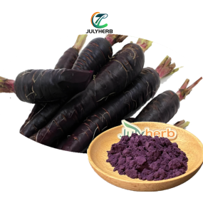Black Carrot Extract Powder Manufacturer - Hot Selling Water Soluble High Quality