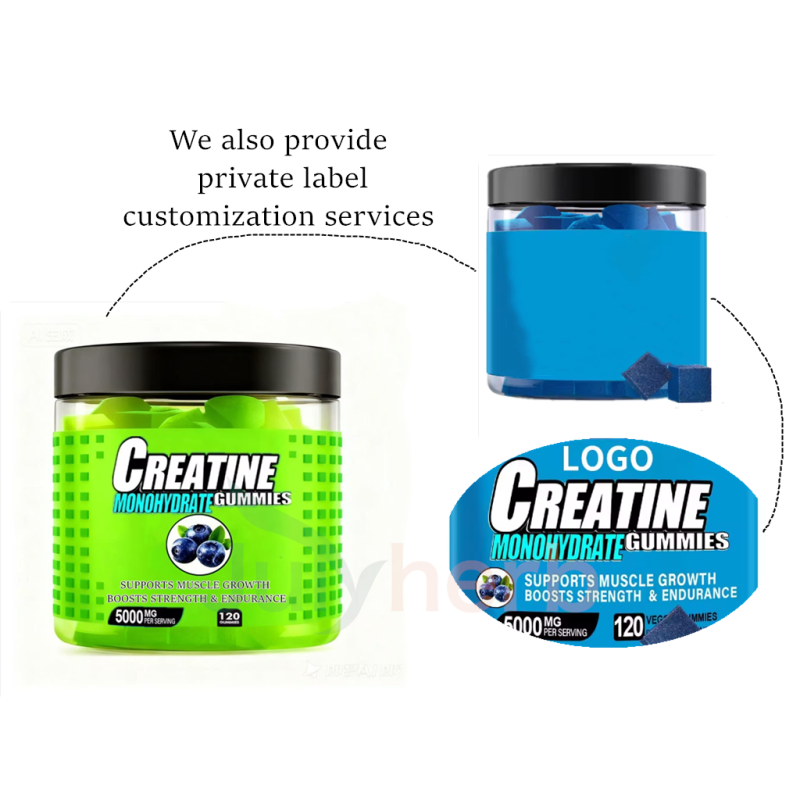 Creatine Monohydrate Gummies Manufacturer - High Quality OEM 120 Pcs/Bottle Private Label