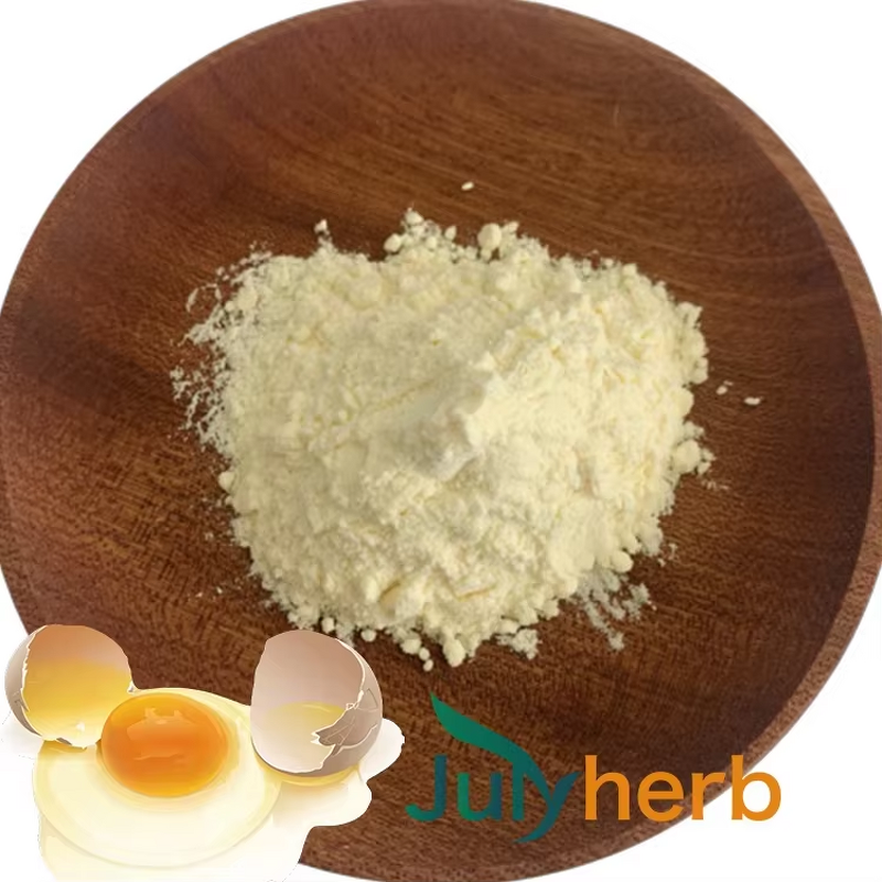 Eggshell Membrane Extract Powder Manufacturer - Direct Factory Sale 10:1 HPLC Tested