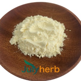 Clostridium Butyricum Powder Manufacturer - High Quality Daily Chemicals Supplement 10 Billion Cfu/g