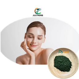 Chlorella Spirulina Powder Manufacturer - Supply Good Quality Organic Pure 1KG Bulk