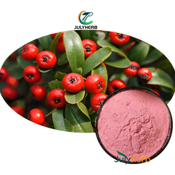 Cranberry Powder Manufacturer - 100% Pure Natural Vitamin C Supplement
