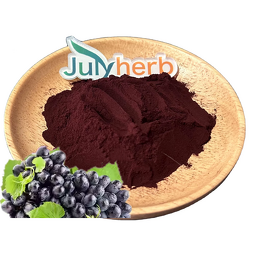 Grape Skin Pigment Powder Manufacturer - Private Label Food Grade Red E12 Cold Pressed