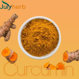 Curcumin Powder Manufacturer - Pure Turmeric Extract 95% CAS 458-37-7 Food Grade