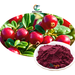 Cranberry Extract Powder Manufacturer - Best Price 100% Natural Concentrate Fruit Juice