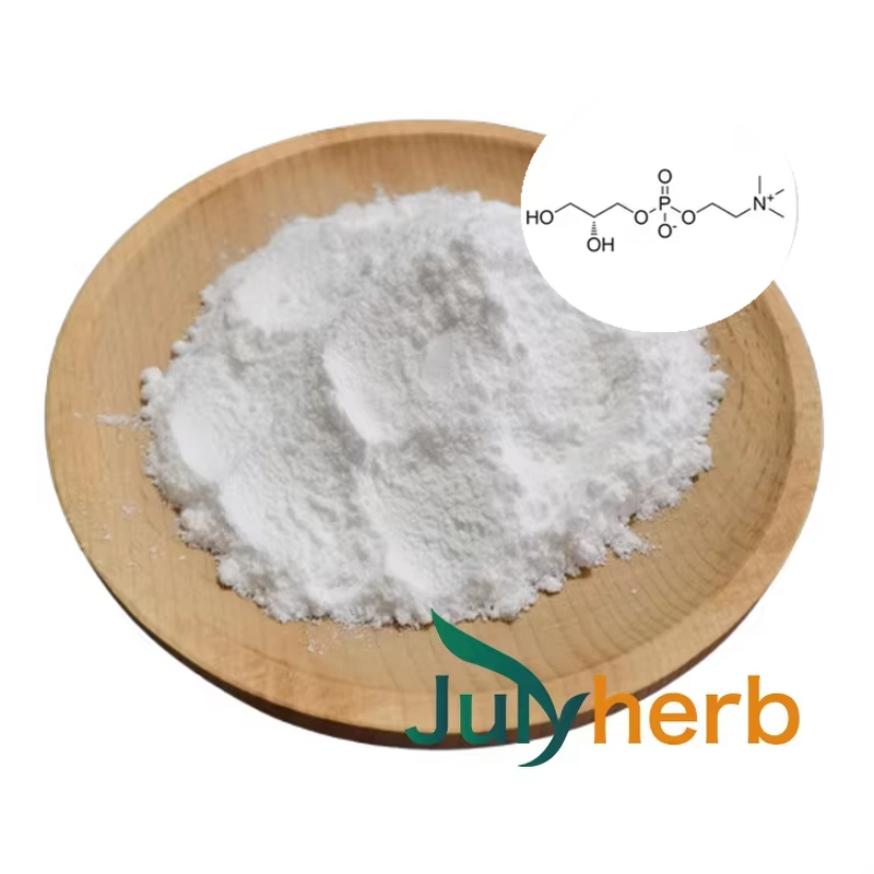 Alpha GPC Powder Manufacturer - High Quality 99% Pure Plant Extract Vacuum Packed