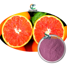 Blood Orange Extract Powder Manufacturer - Food Grade 100% Organic Vacuum Packed