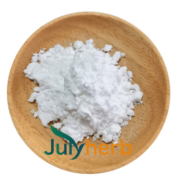 Lactococcus Lactis Powder Manufacturer - High Potency 500B CFU/g Freeze-Dried Probiotics Food Preservative