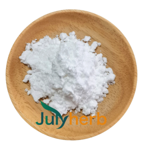 Lactococcus Lactis Powder Manufacturer - High Potency 500B CFU/g Freeze-Dried Probiotics Food Preservative