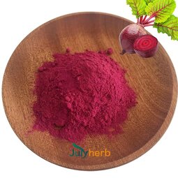 Organic Beet Root Extract Powder Manufacturer - 5:1 10:1 20:1 Food Grade Water Soluble