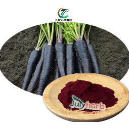 Purple Carrot Extract Powder Manufacturer - Supply Food Grade 99% Pure Pigment E20-E100