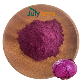 Red Cabbage Powder Manufacturer - Natural Food Grade Pigment E10-E80 Fruit Extract