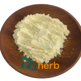 Pediococcus Acidilactici Powder Manufacturer - High Potency 800 Billion CFU/g Probiotics Raw Material