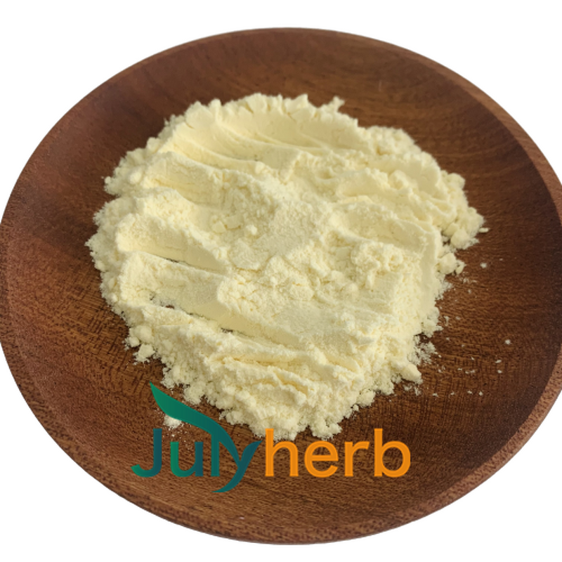 Pediococcus Acidilactici Powder Manufacturer - High Potency 800 Billion CFU/g Probiotics Raw Material