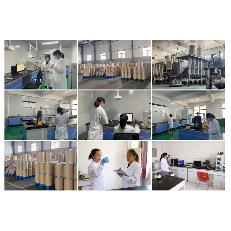Oat Beta Glucan Powder Manufacturer - Factory Supply 70% Food Grade Solvent Extraction