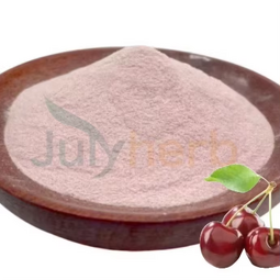 Wild Cherry Berry Juice Powder Manufacturer - High Quality Food Grade Natural Blueberry Extract