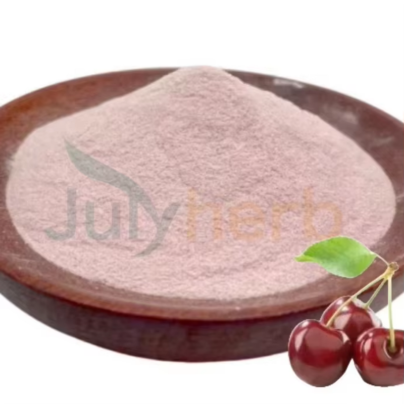 Wild Cherry Berry Juice Powder Manufacturer - High Quality Food Grade Natural Blueberry Extract