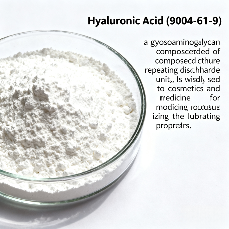Hyaluronic Acid Powder Manufacturer - Cosmetic/Food Grade 99% Daily Chemical