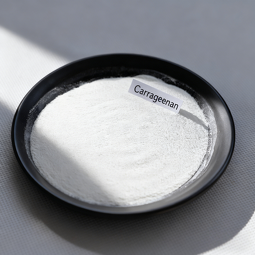 Carrageenan Supplier - Food Grade Thickener Stabilizer Emulsifier 2 Year