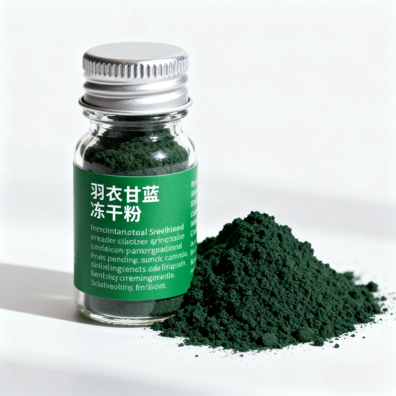 Kale Powder Factory - Bulk Flavored High Vitamin K Fiber Powder