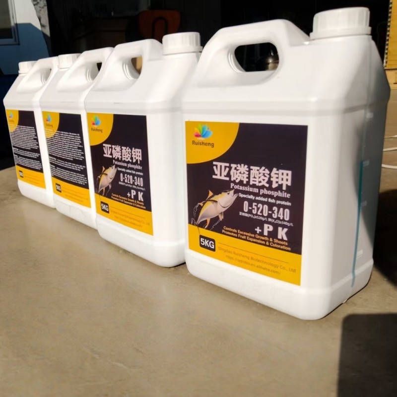Humic Acid Powder Factory - 100% Purity Organic Quick Release Fertilizer