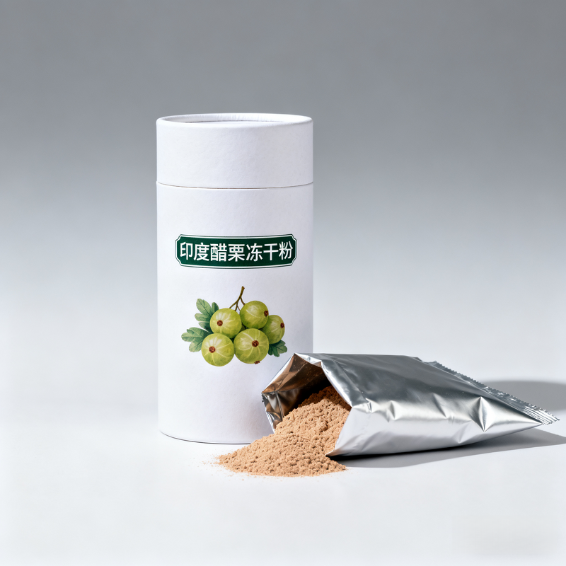 Amla Powder Manufacturer - Bulk Natural High Vitamin C Antioxidant