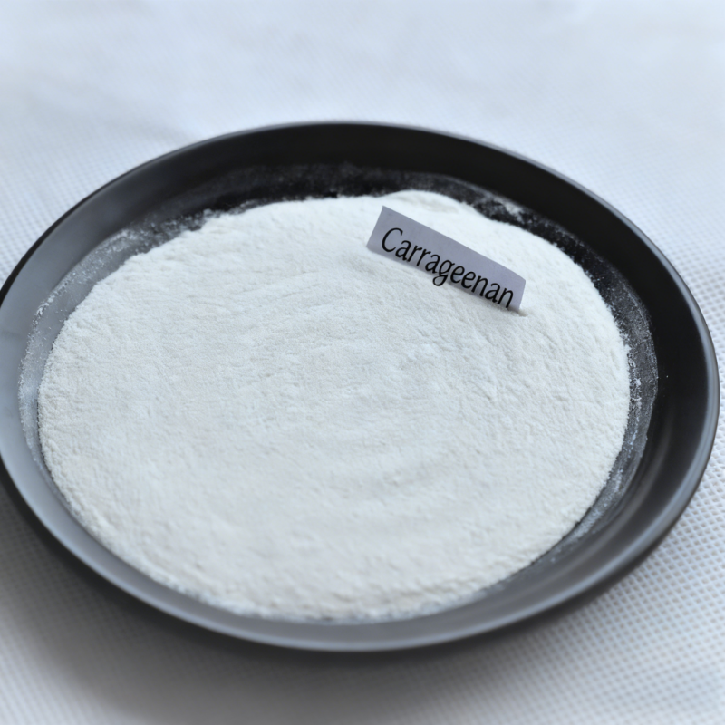 Carrageenan Supplier - Food Grade Thickener Stabilizer Emulsifier 2 Year