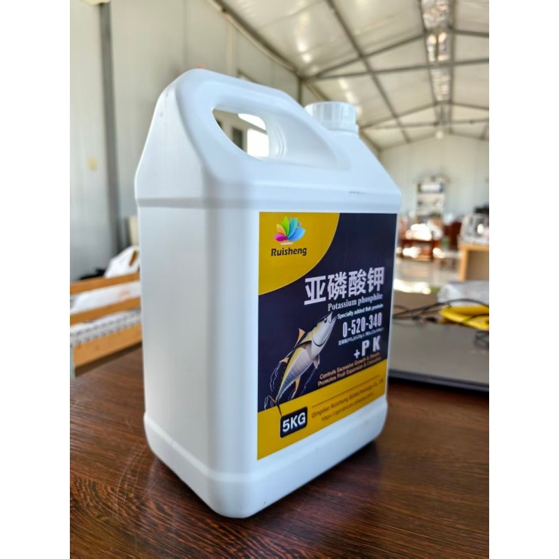 Humic Acid Powder Factory - 100% Purity Organic Quick Release Fertilizer