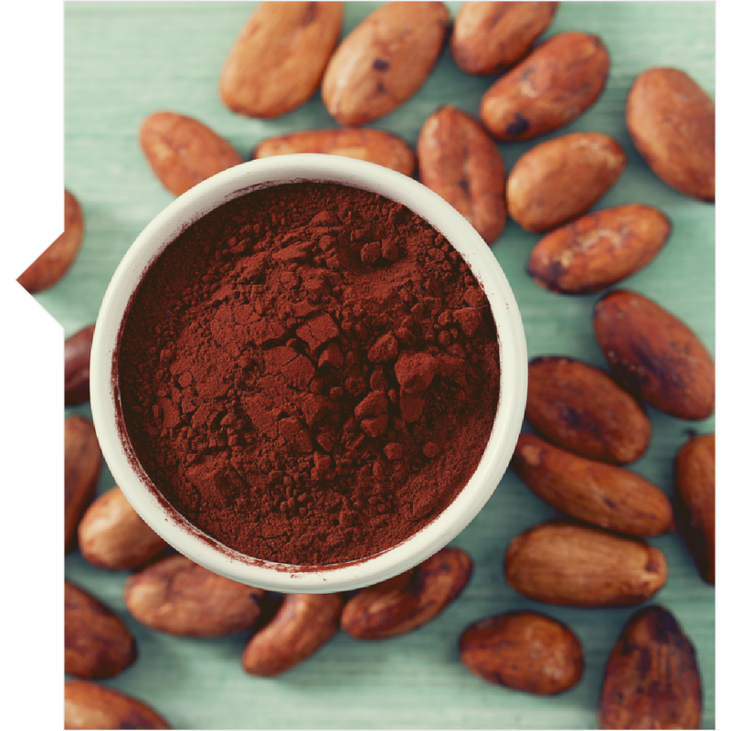 Cocoa Powder Supplier - 2025 Best Price Organic Alkalized Raw Cacao