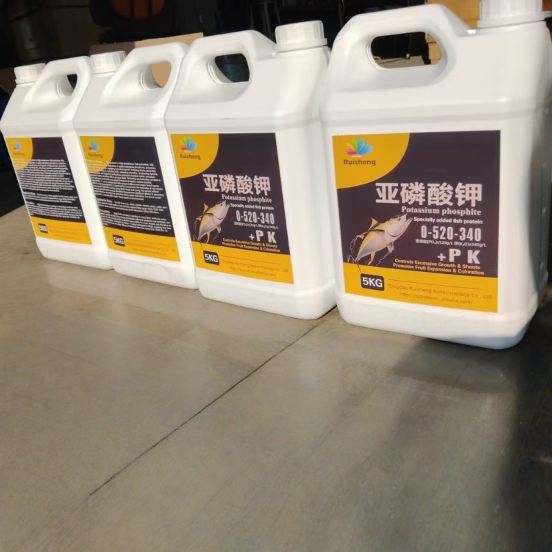 Humic Acid Powder Factory - 100% Purity Organic Quick Release Fertilizer