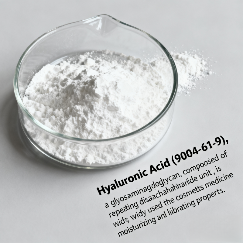 Hyaluronic Acid Powder Manufacturer - Cosmetic/Food Grade 99% Daily Chemical