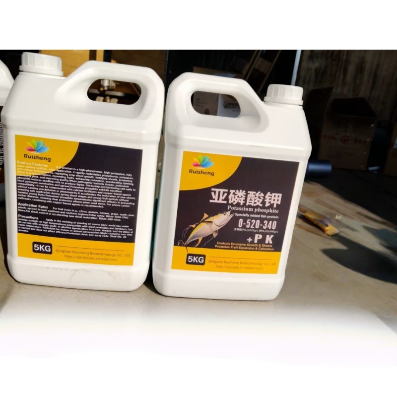 Humic Acid Powder Factory - 100% Purity Organic Quick Release Fertilizer