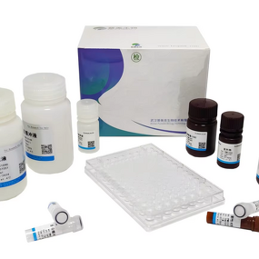 2X SYBR Green QPCR Master Mix Manufacturer - Hot Start Taq Polymerase with ROX Dye