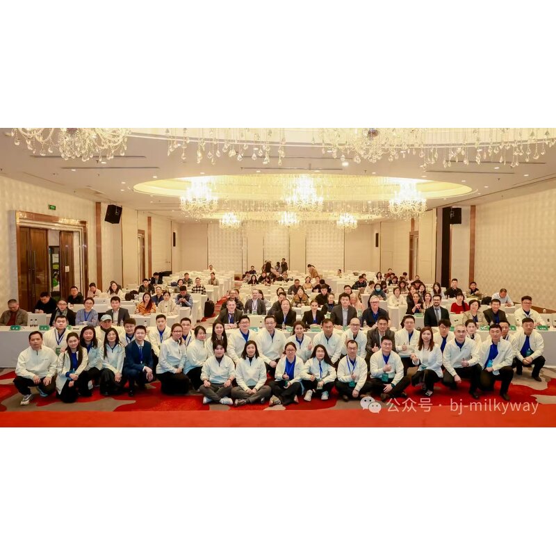 BCAA Supplement Tablets Manufacturer - OEM 2:1:1 for Energy Drink Endurance Athlete