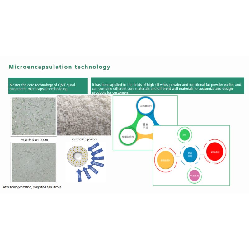 Coconut Milk Pine Nut Powder Manufacturer - Natural Plant-Based Flavoring Agent