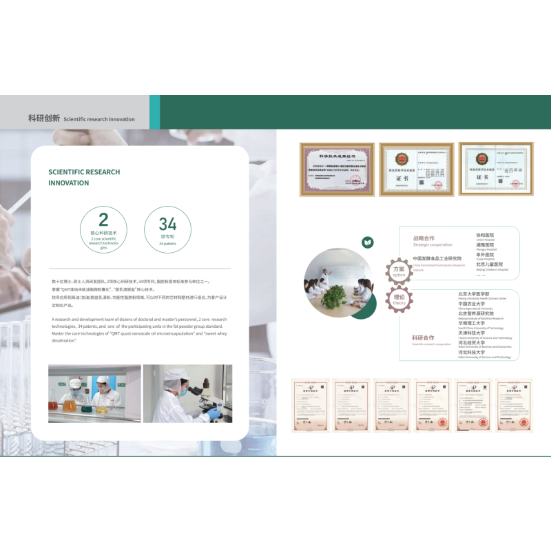 Whey BCAA Powder Manufacturer - High Purity 2:1:1 Sterilized for Muscle Growth Recovery