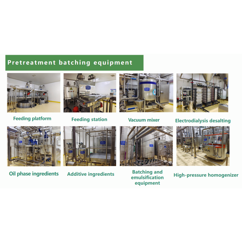 Coconut Plant Extract Powder Manufacturer - Diglyceride Functional Ingredient