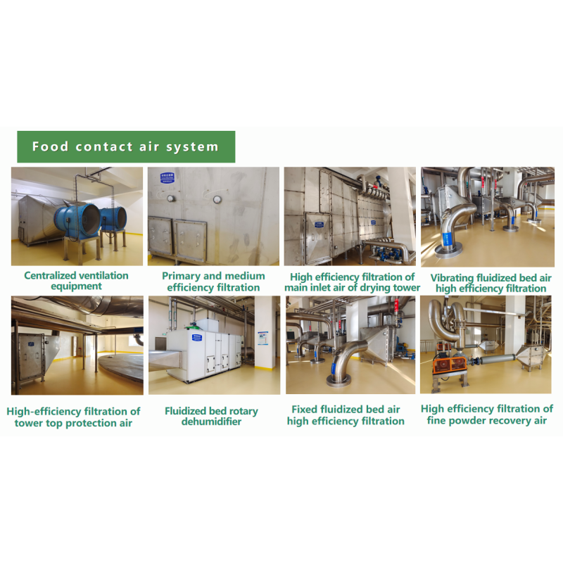 Coconut Plant Extract Powder Manufacturer - Diglyceride Functional Ingredient