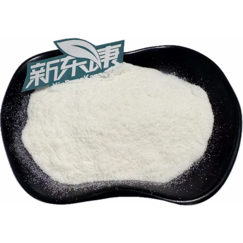 Organic Coconut Milk Pine Nut Powder Manufacturer - Vegan-Friendly Flavoring Agent