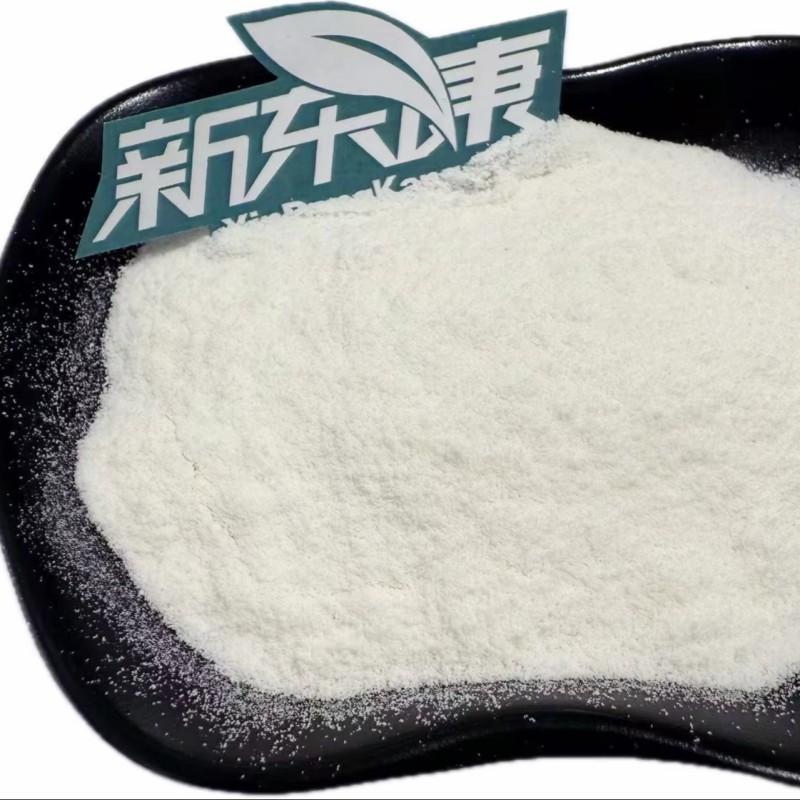 Coconut Milk Pine Nut Powder Manufacturer - Solid Beverage Food Processing Raw Material