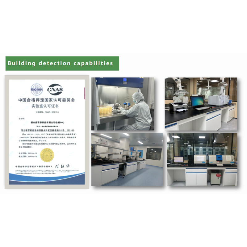 MCT Palm Oil Powder Manufacturer - Ketogenic Medical Food Herb Extract Powder