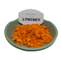 Curcumin Powder Supplier - USP Grade 95% Natural Turmeric Extract