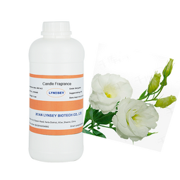 Musk Fragrance Oil Supplier - Natural Fragrance Essence for Perfume Making