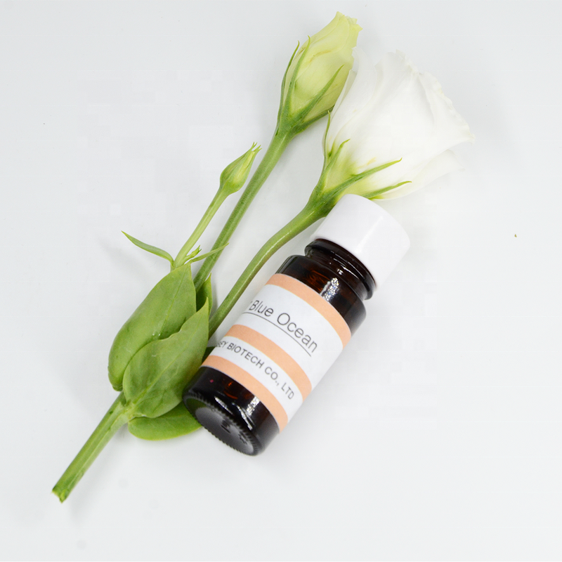 Oud Perfume Oil Manufacturer - Branded Fragrance Oil for Reed Diffuser